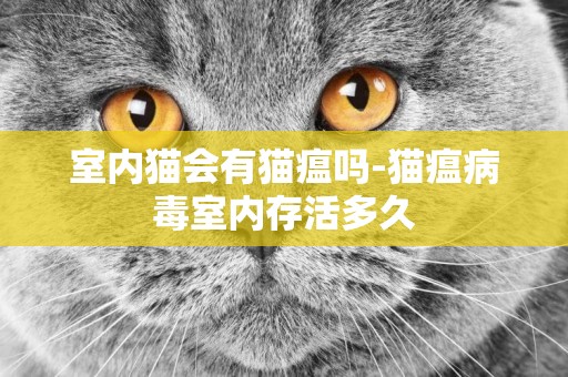 室內貓會有貓瘟嗎-貓瘟病毒室內存活多久