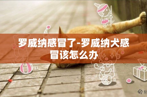 羅威納感冒了-羅威納犬感冒該怎么辦