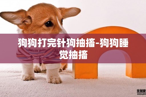 狗狗打完針狗抽搐-狗狗睡覺抽搐