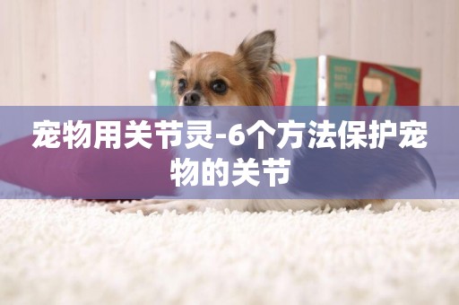 寵物用關節靈-6個方法保護寵物的關節