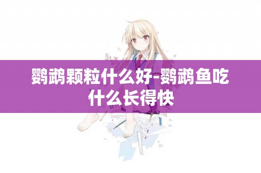 鸚鵡顆粒什么好-鸚鵡魚吃什么長得快