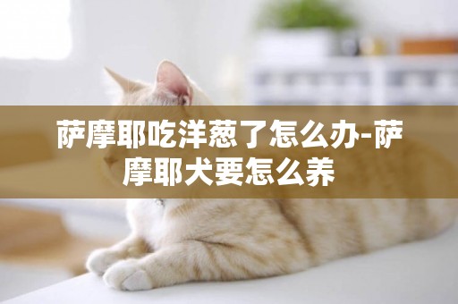 薩摩耶吃洋蔥了怎么辦-薩摩耶犬要怎么養