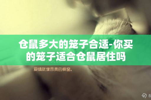 倉鼠多大的籠子合適-你買的籠子適合倉鼠居住嗎