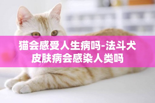 貓會感受人生病嗎-法斗犬皮膚病會感染人類嗎