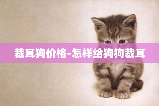 裁耳狗價格-怎樣給狗狗裁耳