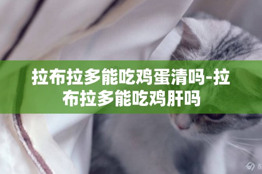 拉布拉多能吃雞蛋清嗎-拉布拉多能吃雞肝嗎