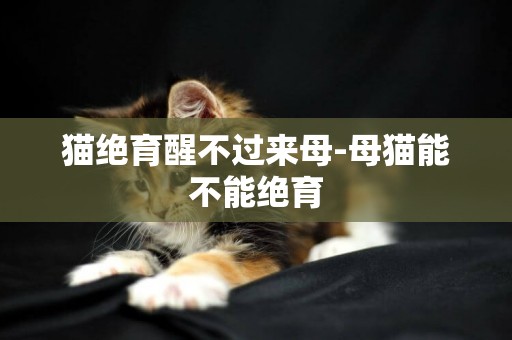 貓絕育醒不過來母-母貓能不能絕育