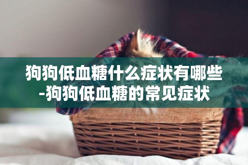 狗狗低血糖什么癥狀有哪些-狗狗低血糖的常見癥狀