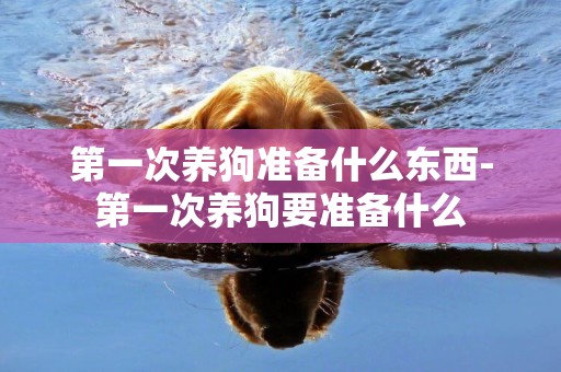 第一次養狗準備什么東西-第一次養狗要準備什么