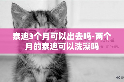 泰迪3個月可以出去嗎-兩個月的泰迪可以洗澡嗎