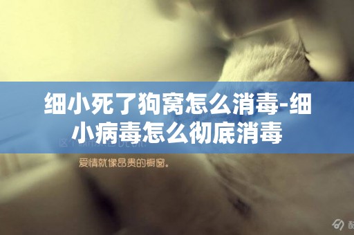 細小死了狗窩怎么消毒-細小病毒怎么徹底消毒