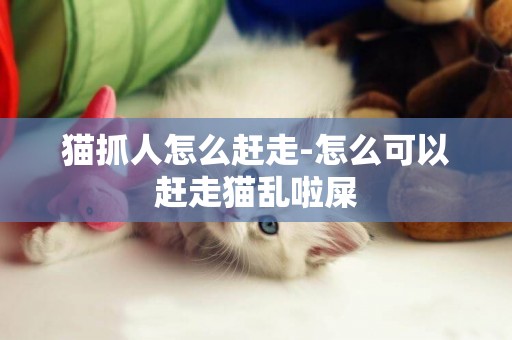 貓抓人怎么趕走-怎么可以趕走貓亂啦屎