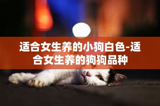 適合女生養的小狗白色-適合女生養的狗狗品種