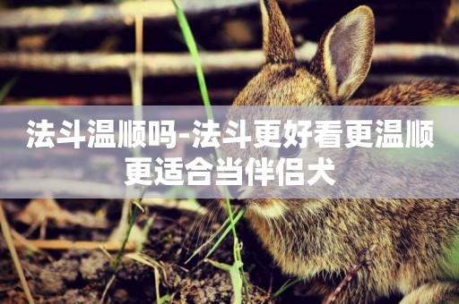 法斗溫順嗎-法斗更好看更溫順更適合當伴侶犬