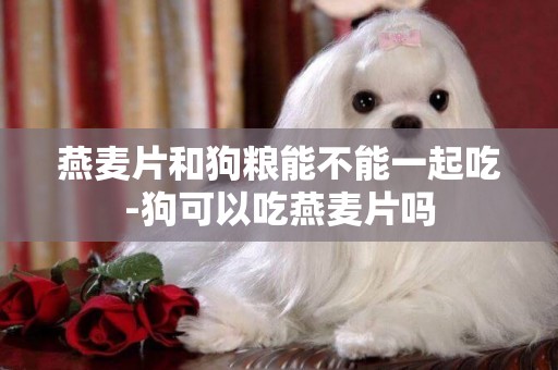燕麥片和狗糧能不能一起吃-狗可以吃燕麥片嗎