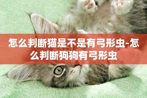 怎么判斷貓是不是有弓形蟲-怎么判斷狗狗有弓形蟲