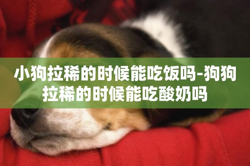 小狗拉稀的時候能吃飯嗎-狗狗拉稀的時候能吃酸奶嗎