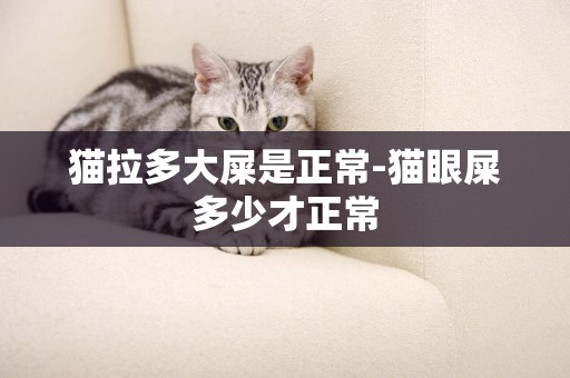 貓拉多大屎是正常-貓眼屎多少才正常