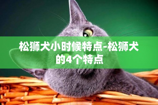 松獅犬小時候特點-松獅犬的4個特點