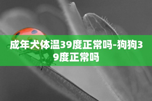 成年犬體溫39度正常嗎-狗狗39度正常嗎