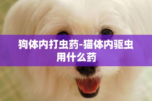狗體內打蟲藥-貓體內驅蟲用什么藥