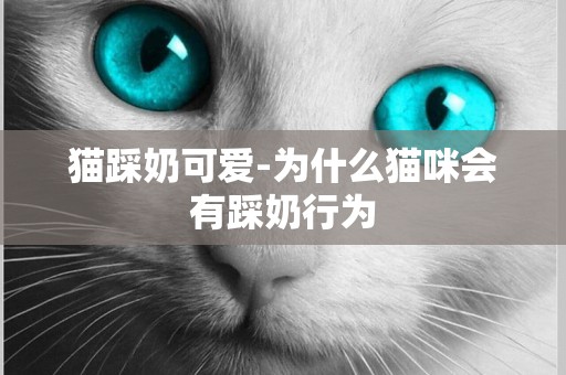 貓踩奶可愛-為什么貓咪會有踩奶行為