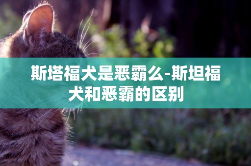斯塔福犬是惡霸么-斯坦福犬和惡霸的區別
