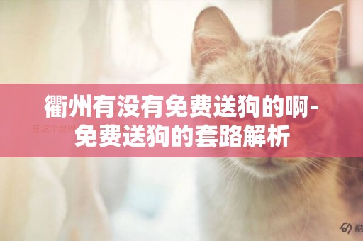 衢州有沒有免費送狗的啊-免費送狗的套路解析