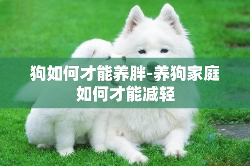 狗如何才能養胖-養狗家庭如何才能減輕