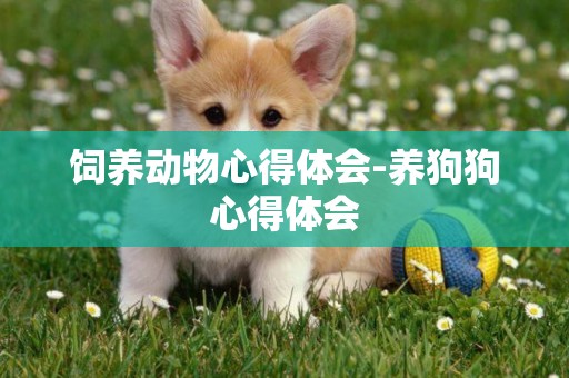 飼養動物心得體會-養狗狗心得體會