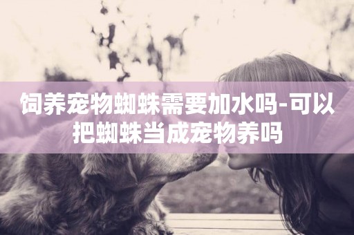 飼養寵物蜘蛛需要加水嗎-可以把蜘蛛當成寵物養嗎