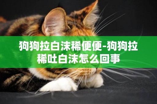 狗狗拉白沫稀便便-狗狗拉稀吐白沫怎么回事