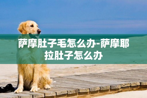 薩摩肚子毛怎么辦-薩摩耶拉肚子怎么辦