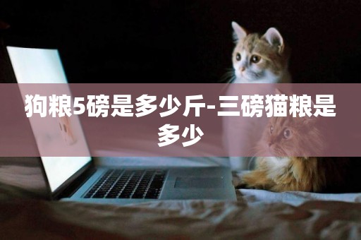 狗糧5磅是多少斤-三磅貓糧是多少