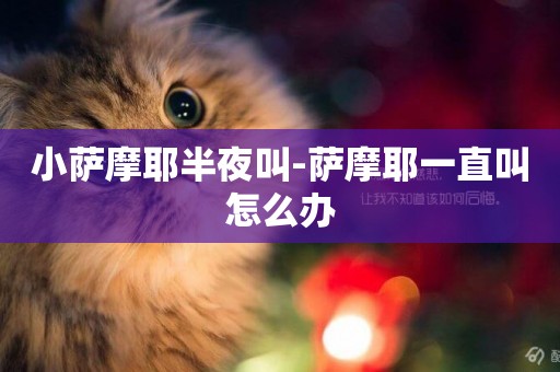 小薩摩耶半夜叫-薩摩耶一直叫怎么辦