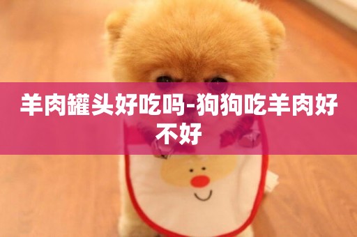 羊肉罐頭好吃嗎-狗狗吃羊肉好不好