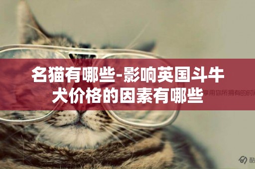 名貓有哪些-影響英國斗牛犬價格的因素有哪些