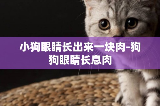 小狗眼睛長出來一塊肉-狗狗眼睛長息肉