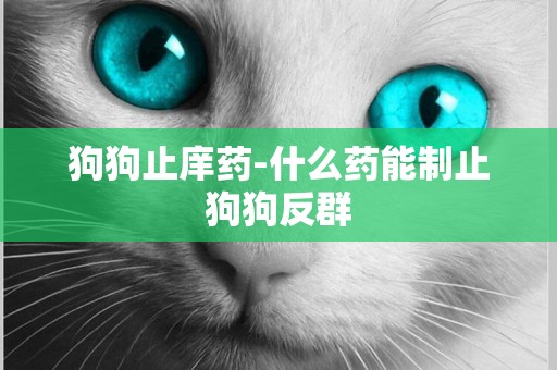 狗狗止庠藥-什么藥能制止狗狗反群