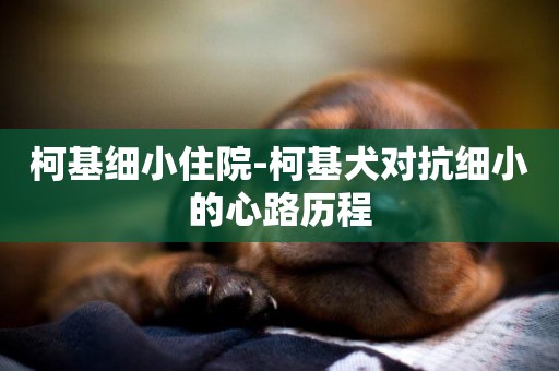 柯基細小住院-柯基犬對抗細小的心路歷程