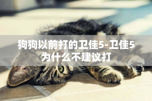 狗狗以前打的衛佳5-衛佳5為什么不建議打