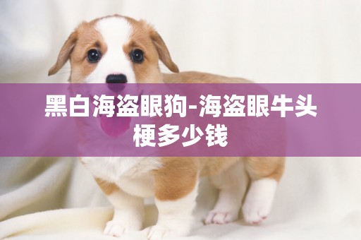 黑白海盜眼狗-海盜眼牛頭梗多少錢