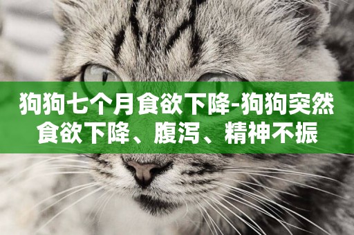 狗狗七個月食欲下降-狗狗突然食欲下降、腹瀉、精神不振