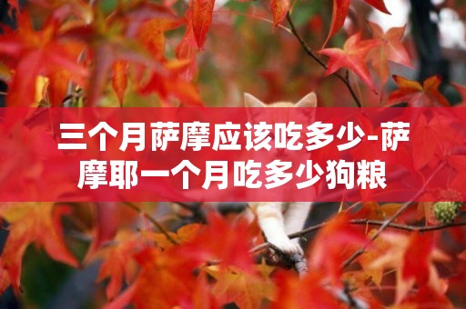 三個月薩摩應該吃多少-薩摩耶一個月吃多少狗糧