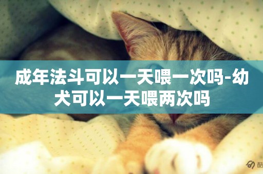 成年法斗可以一天喂一次嗎-幼犬可以一天喂兩次嗎