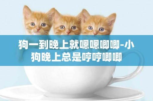 狗一到晚上就嗯嗯唧唧-小狗晚上總是哼哼唧唧