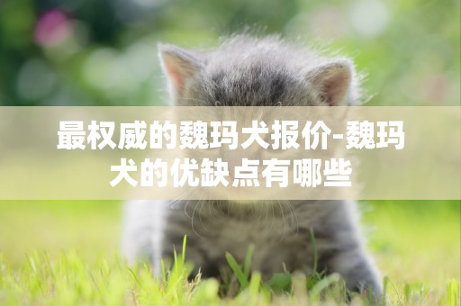 最權威的魏瑪犬報價-魏瑪犬的優缺點有哪些
