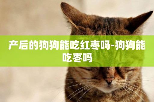 產后的狗狗能吃紅棗嗎-狗狗能吃棗嗎