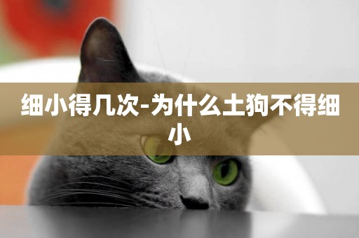 細小得幾次-為什么土狗不得細小