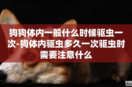狗狗體內一般什么時候驅蟲一次-狗體內驅蟲多久一次驅蟲時需要注意什么